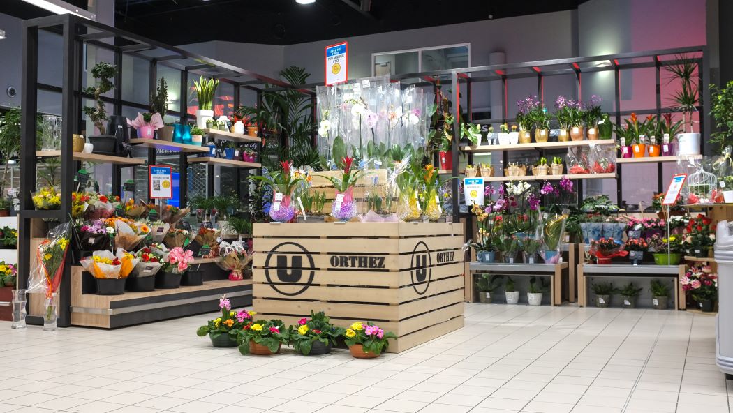 Présentoir central en bois avec fleurs en pot