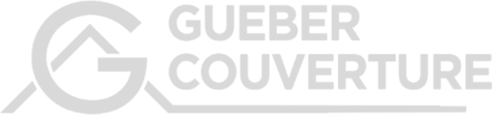 Someva---Logos-Enseignes-_0008_Logo_-Gueber_couverture